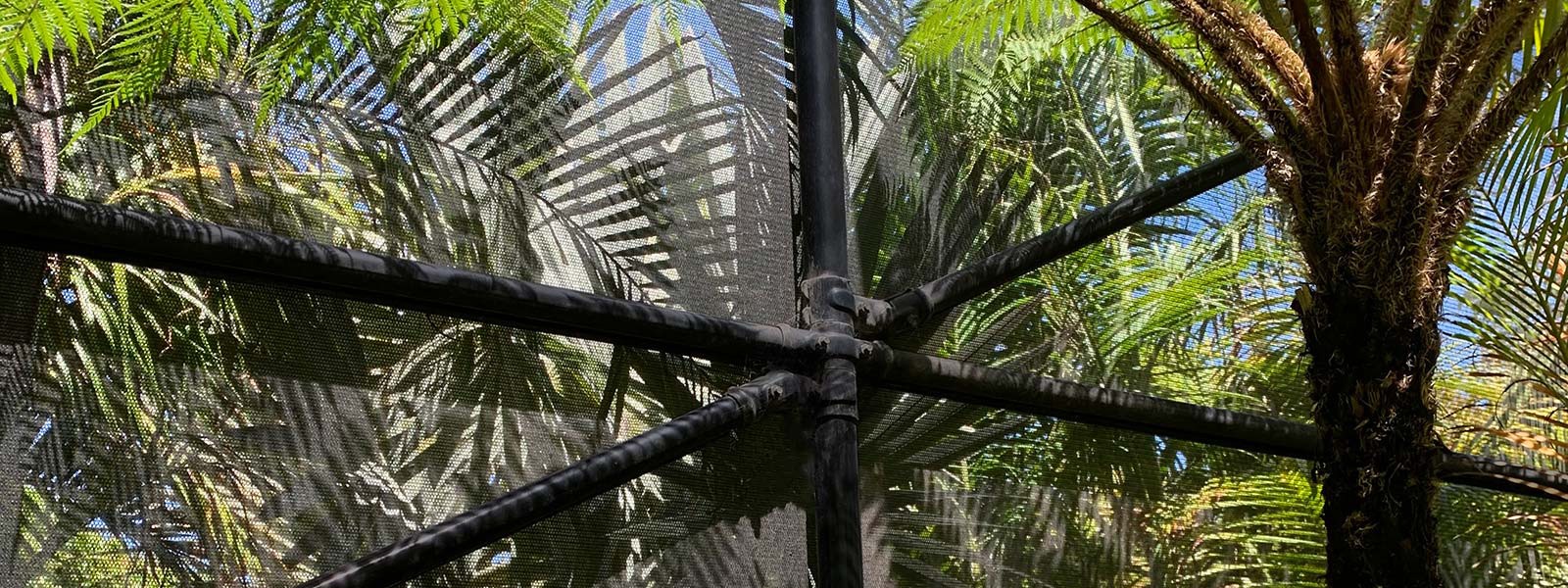 ELGATECHAINPalmPlantationSA2